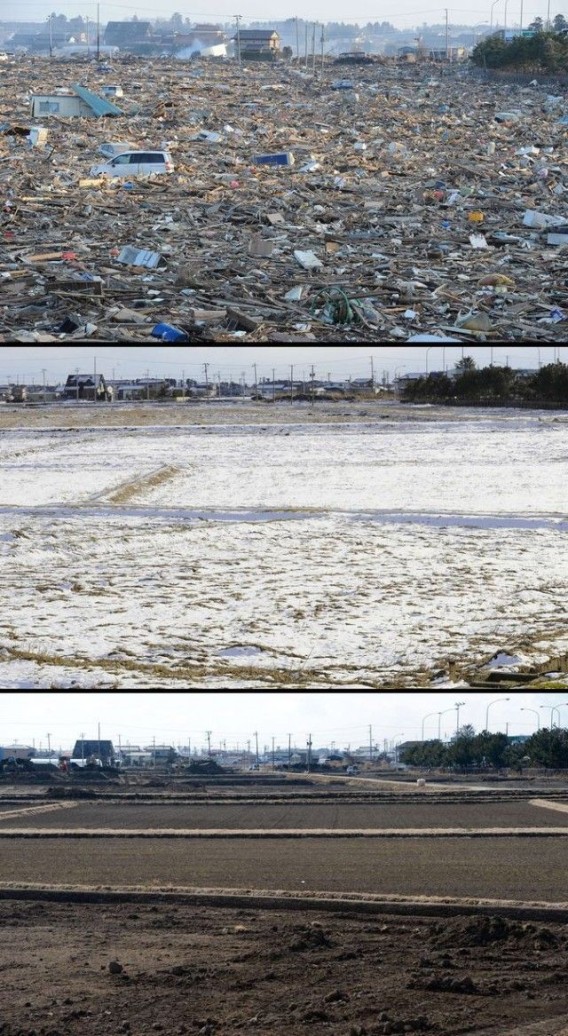 東日本大震災津波からの復興6